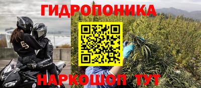 мет Гай