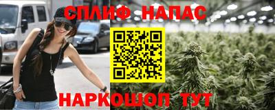 мет Гай