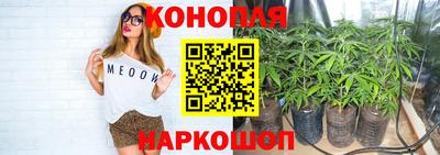 мет Гай
