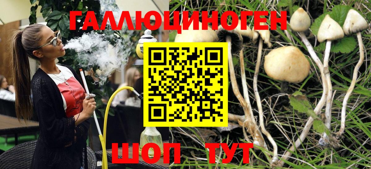 Псилоцибиновые грибы Cubensis  Вход с VPN  Надым 