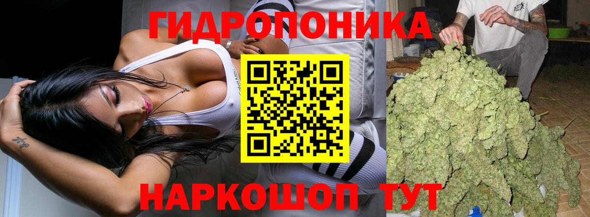 Бошки Шишки Bruce Banner  Шишки марихуана White Widow  Надым  Бошки Шишки семена  Вход с VPN 